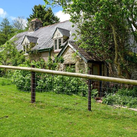 Lower Goytre Farmhouse Llanfair Waterdine Exteriér fotografie